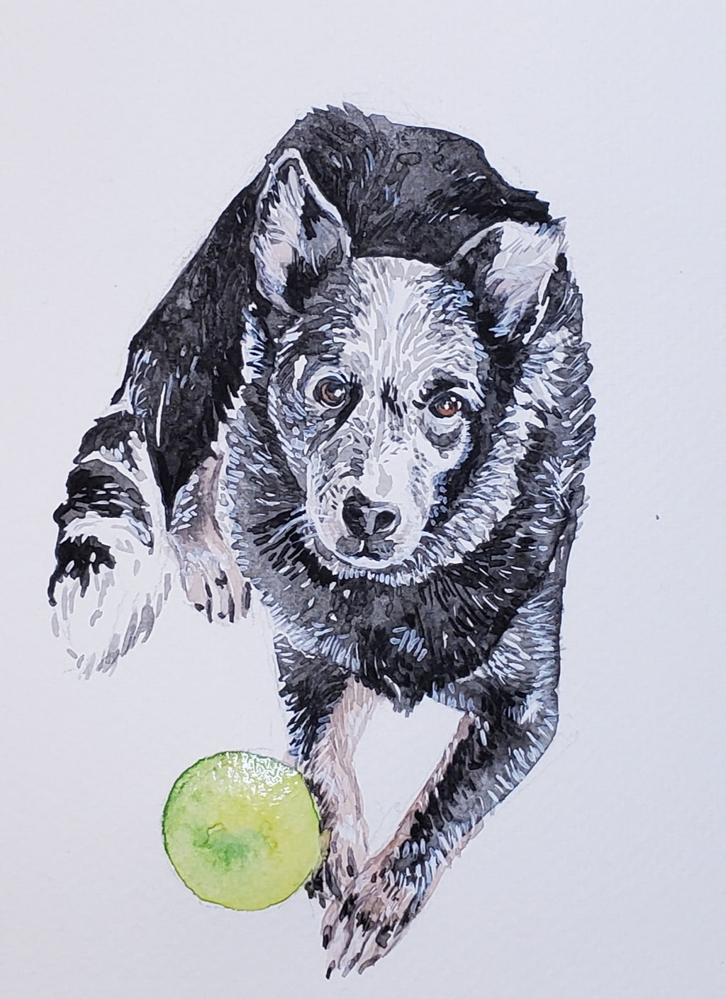 Custom Watercolor Pet Portrait, 5"x7"