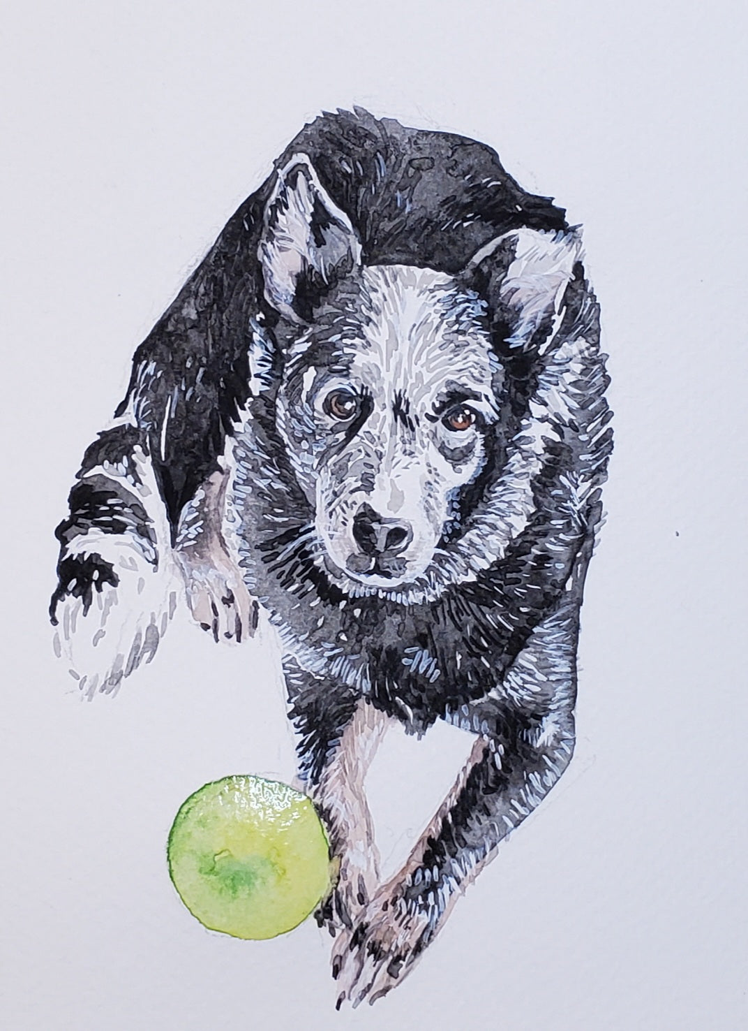 Custom Watercolor Pet Portrait, 5"x7"