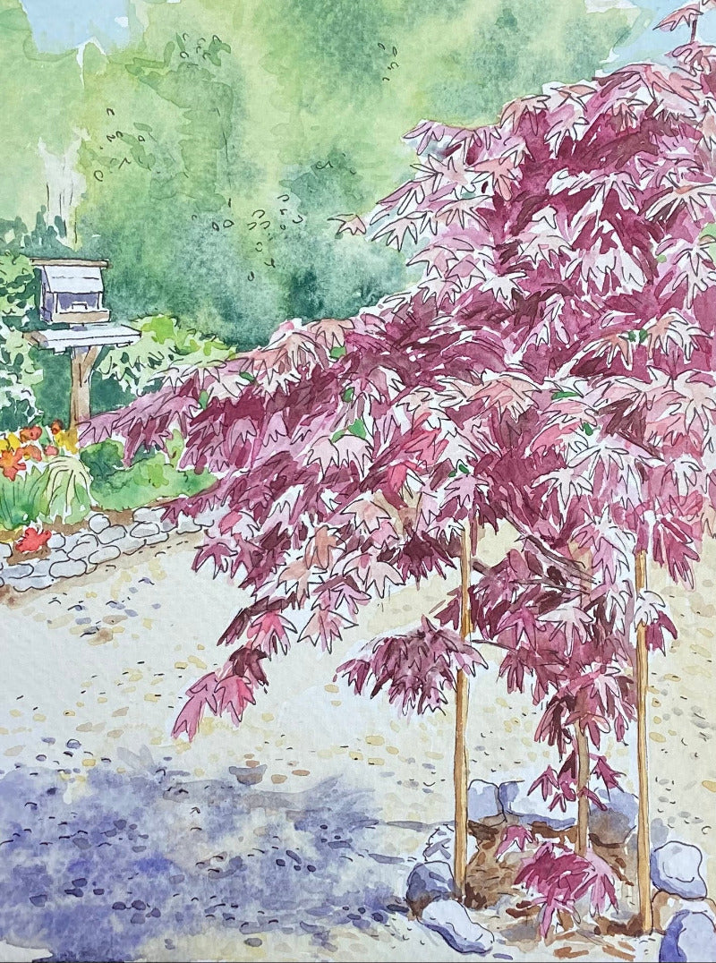 Watercolor painting of a garden scene with pink tree, stone path, and greenery.