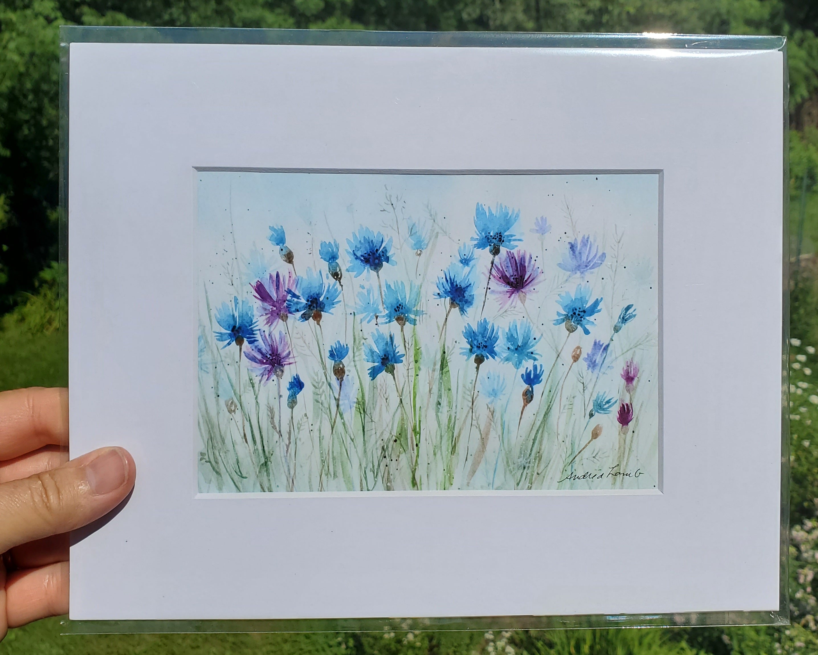 Cornflowers Giclee Print, 5"x7"
