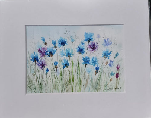 Cornflowers Giclee Print, 5"x7"