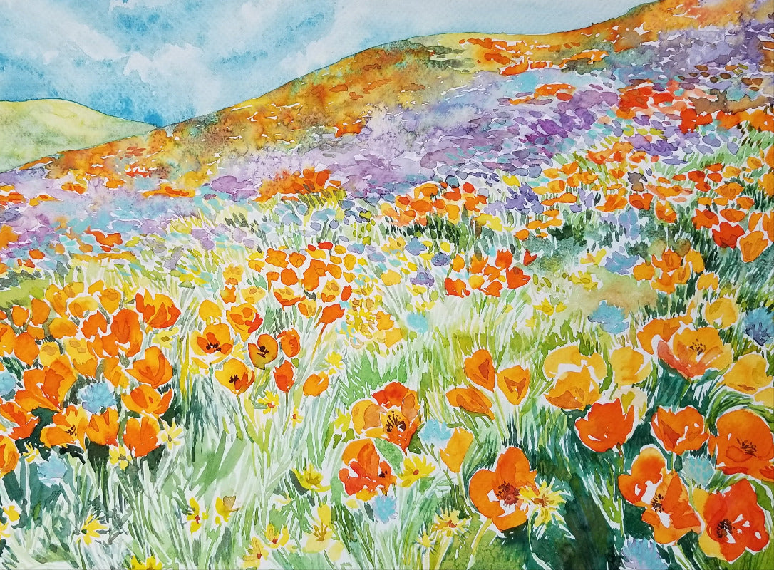 Colorful field of flowers with a mountainous background