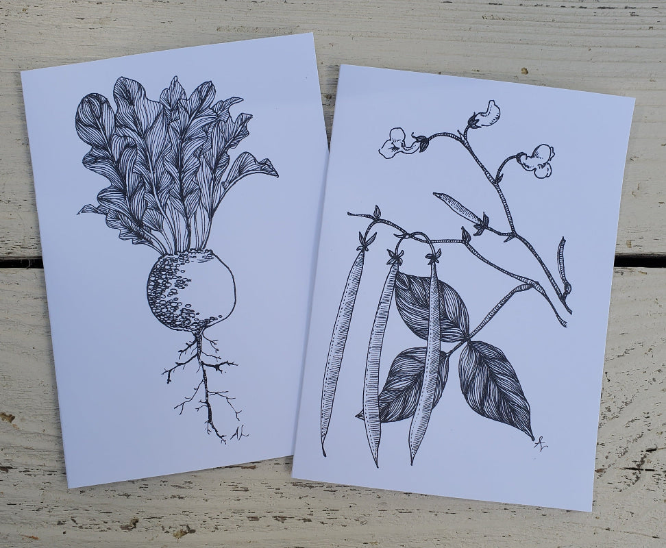 Botanical drawings