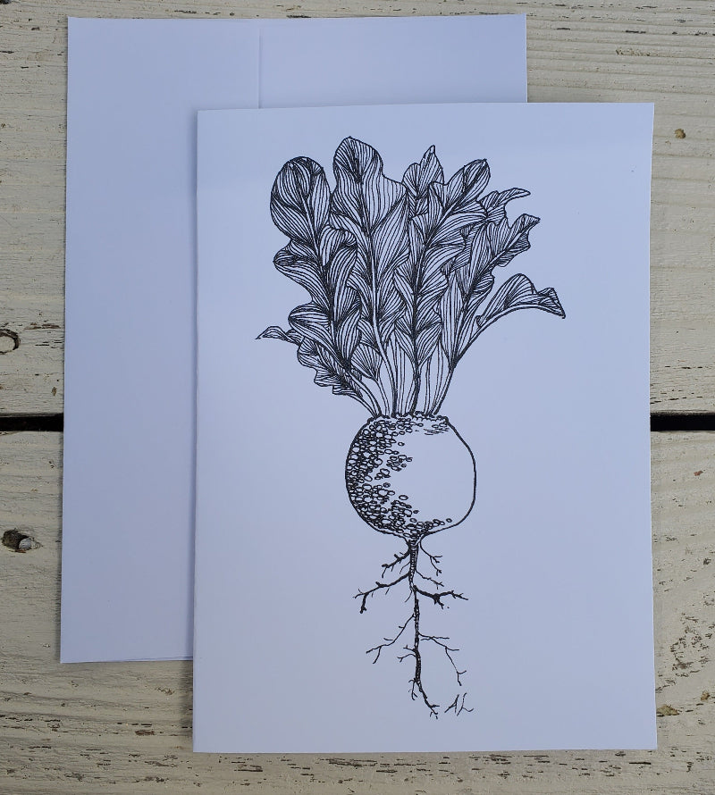 Botanical pen and ink beet