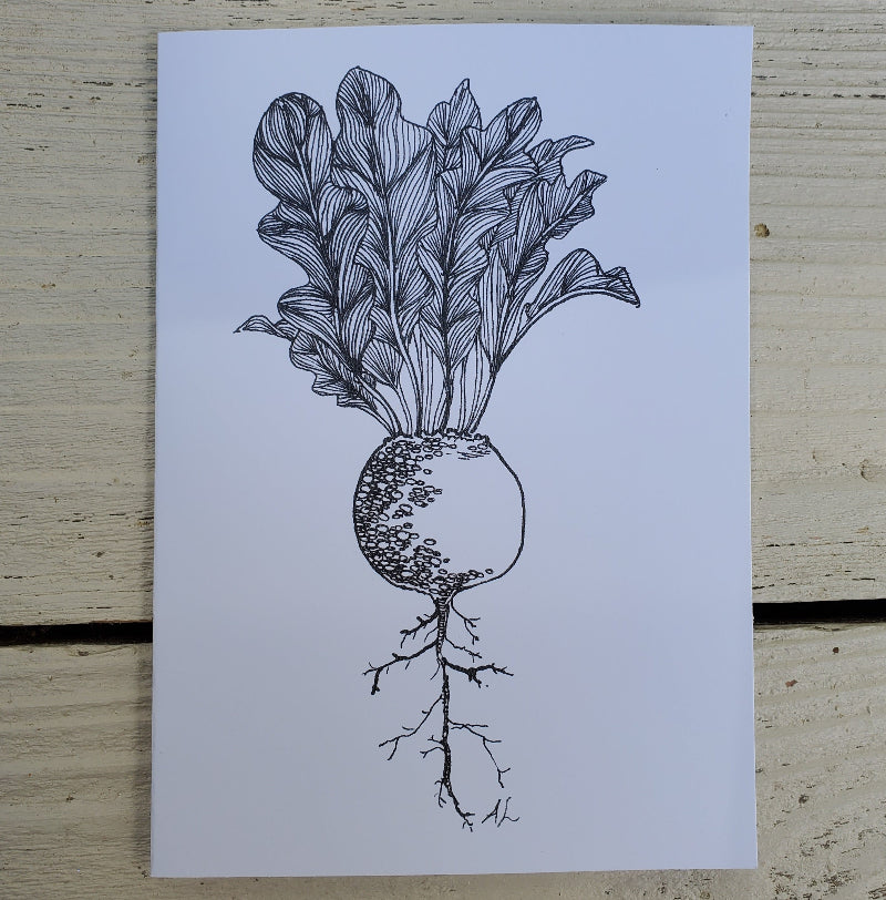 Botanical beet drawing card