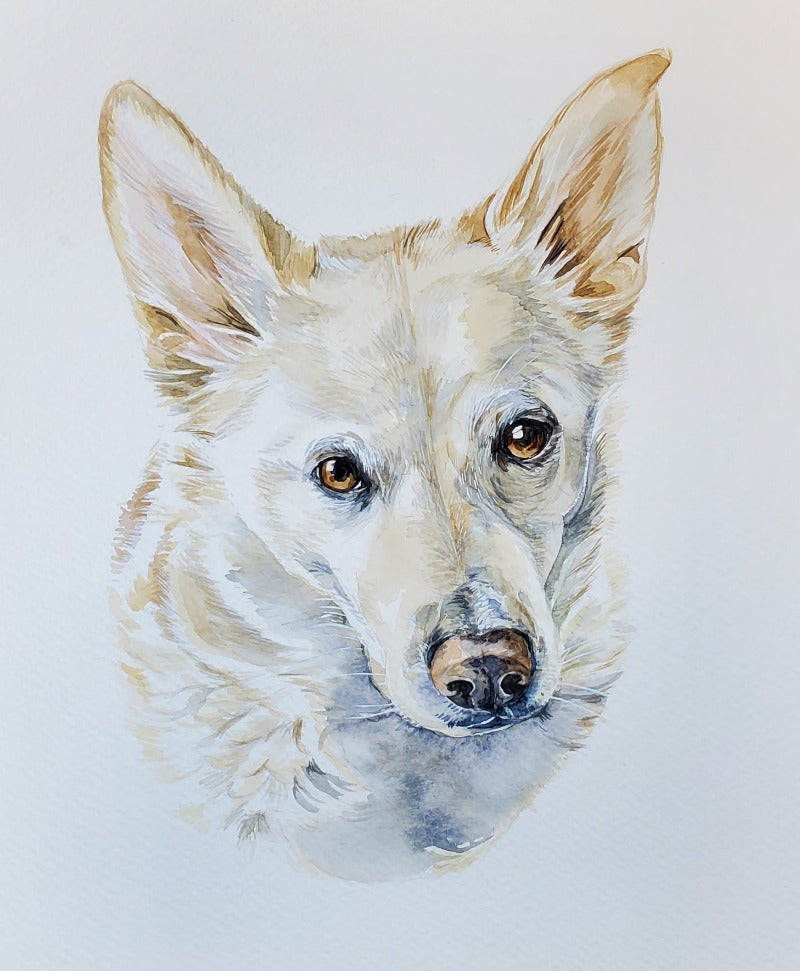 Detailed drawing of a dog's face on a light background