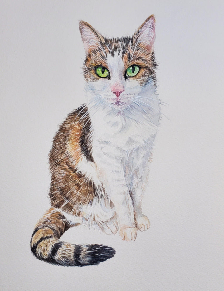 Colorful illustration of a calico cat on a light gray background