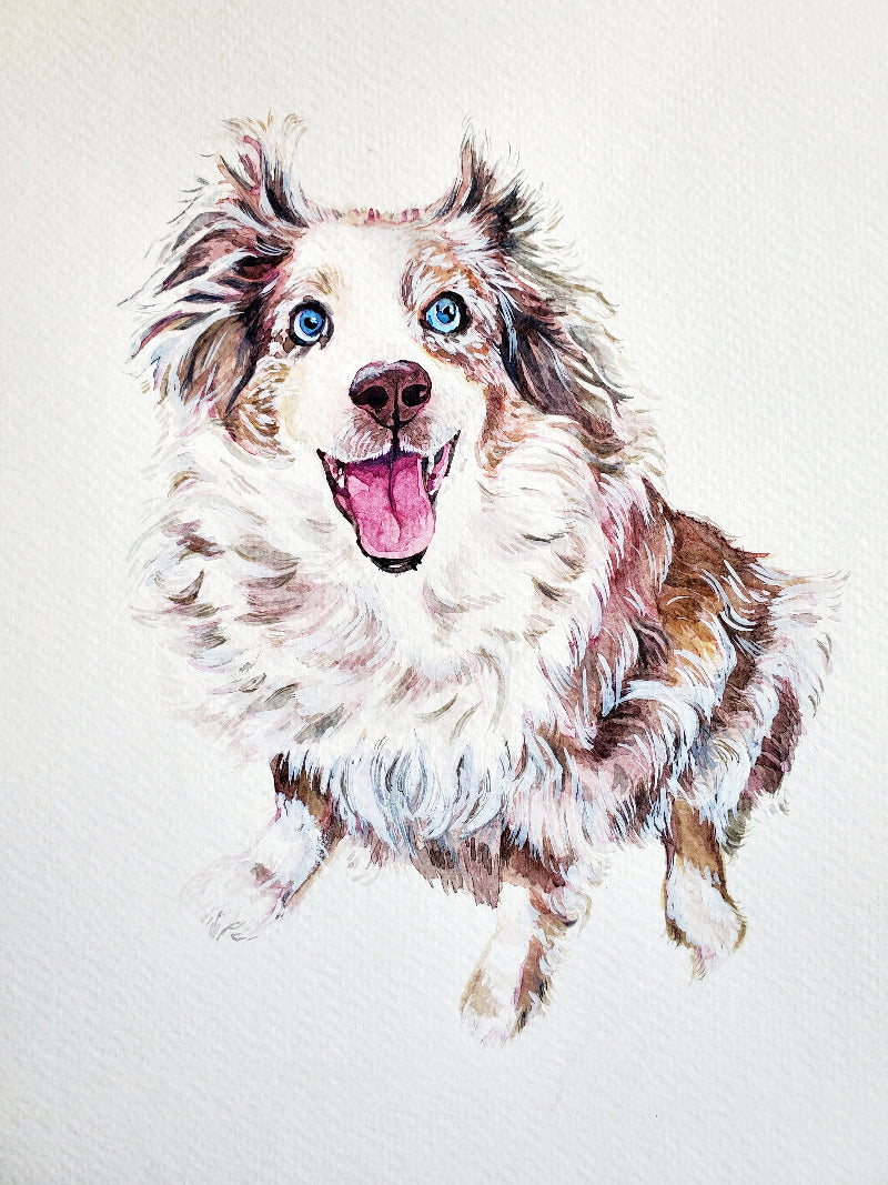 Colorful illustration of a dog with blue eyes on a light gray background