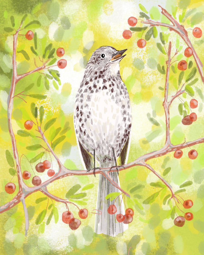 Bird perched on a branch with red berries against a green background