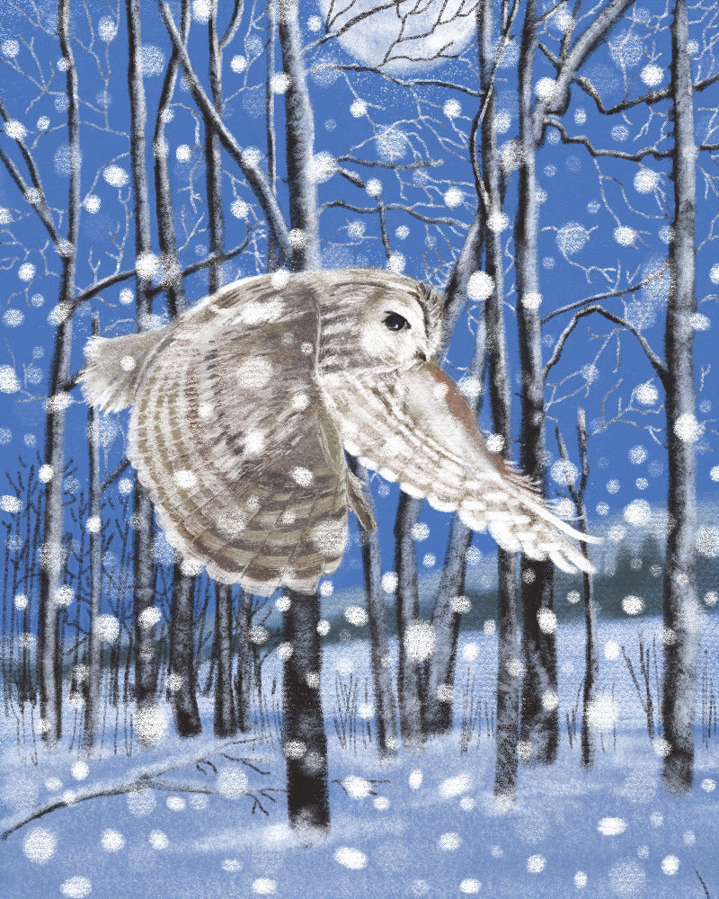 Owl in a snowy forest with blue sky