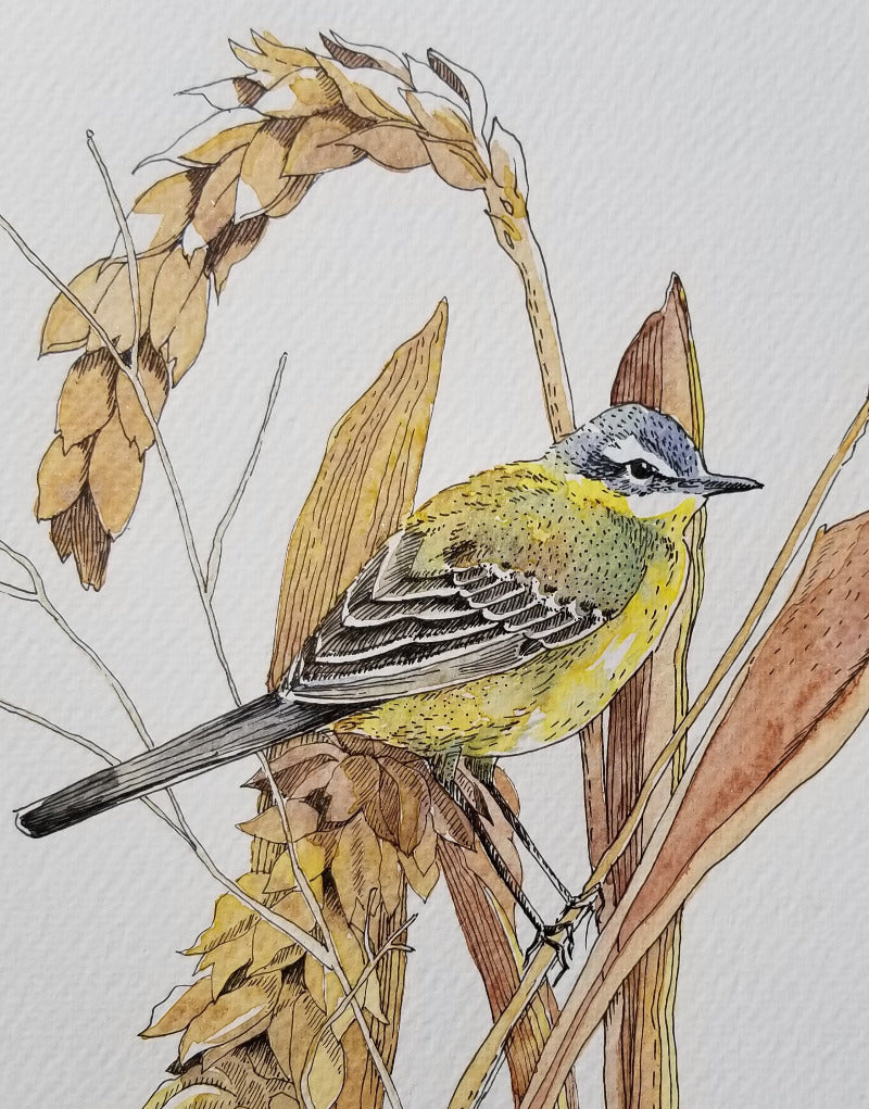 Illustration of a bird perched on a branch with dried leaves