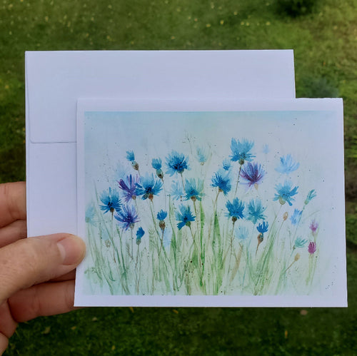 Cornflowers and violet asters in a grassy field card