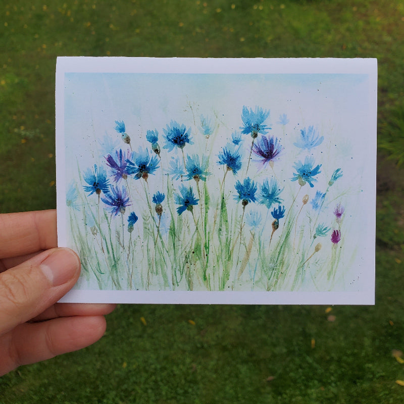 Blue and violet wildflowers in a grassy field