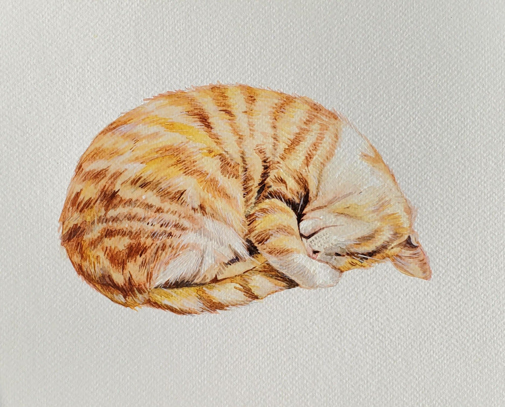 Illustration of a sleeping cat with orange and white stripes on a light gray background