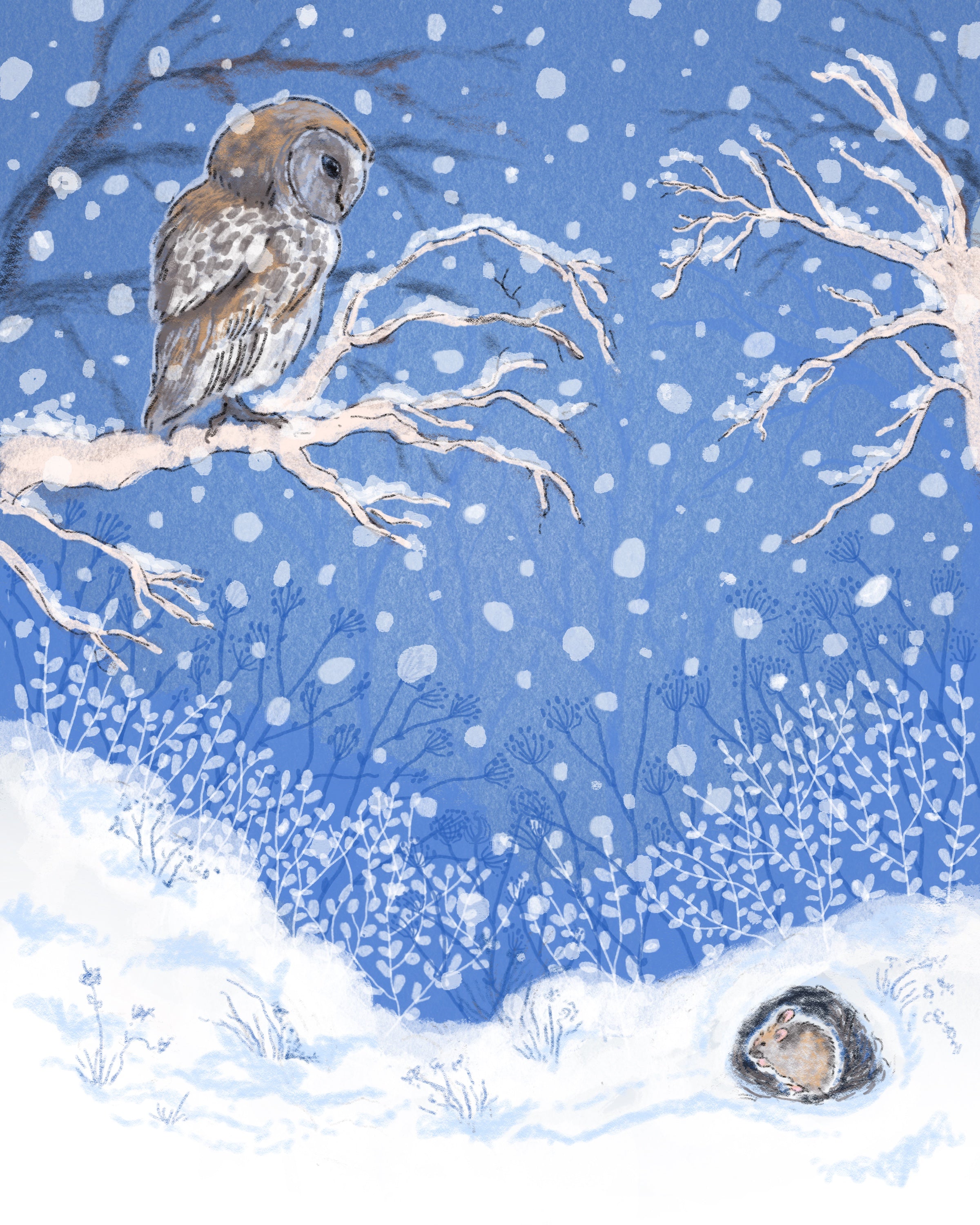 "Winter Nights" Owl & Mouse Giclee Print 5x7